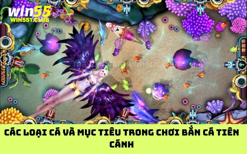 Các loại cá và mục tiêu trong chơi bắn cá tiên cánh