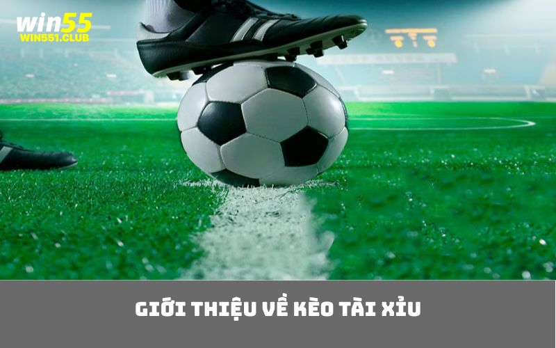 Giới Thiệu Về Kèo Tài Xỉu